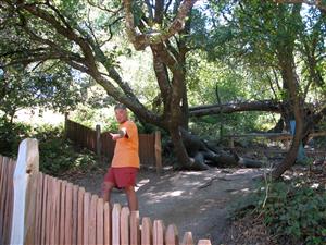 San Andreas fault 